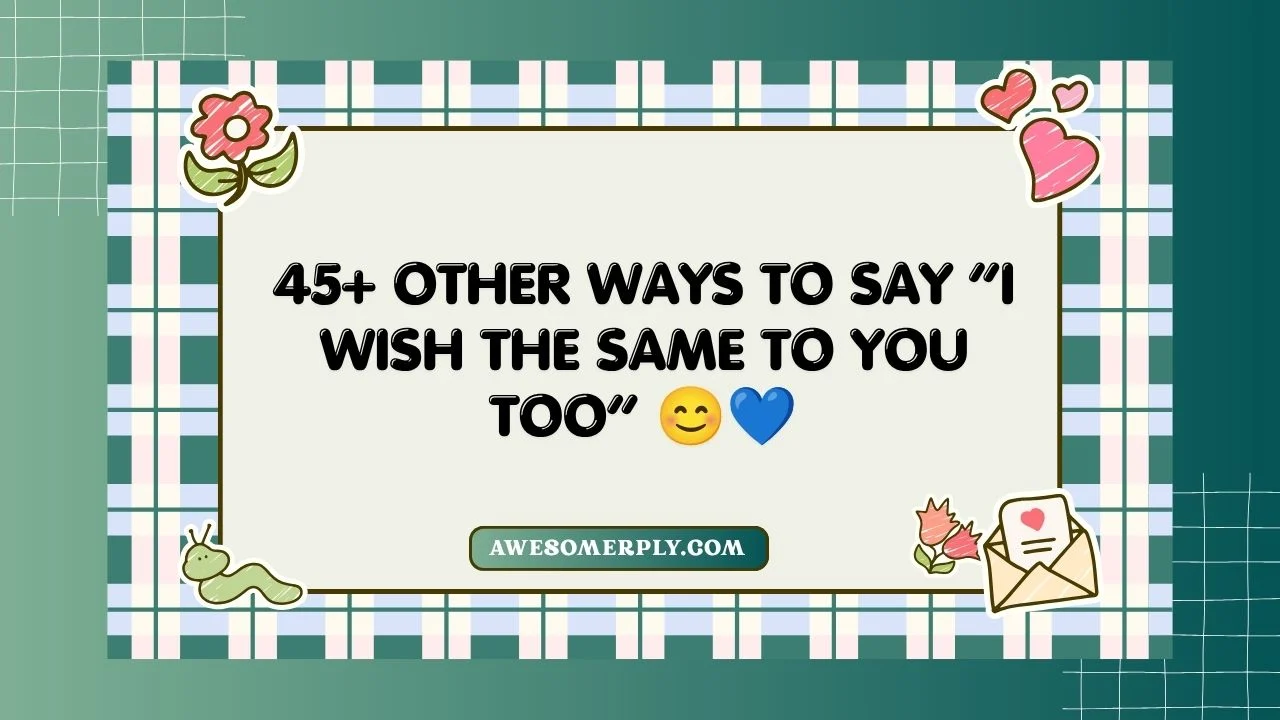 I Wish the Same to You Too